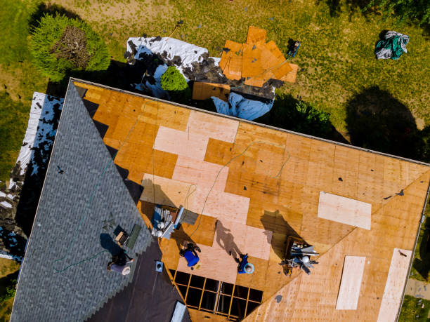 Best Best Roofing Contractors  in Purvis, MS
