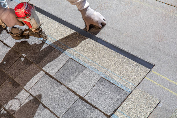 Best Shingle Roofing Installation  in Purvis, MS