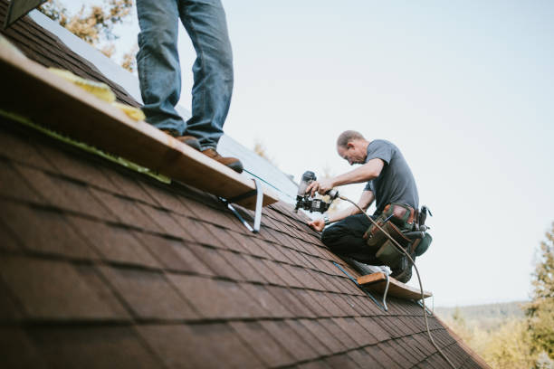 Best Metal Roofing Contractor  in Purvis, MS